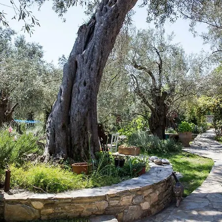 Piges Villa Milina Exterior photo
